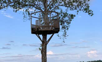 Lynn C.'s photo of a cabin at Tom Sawyer's RV Park near Arlington, TN