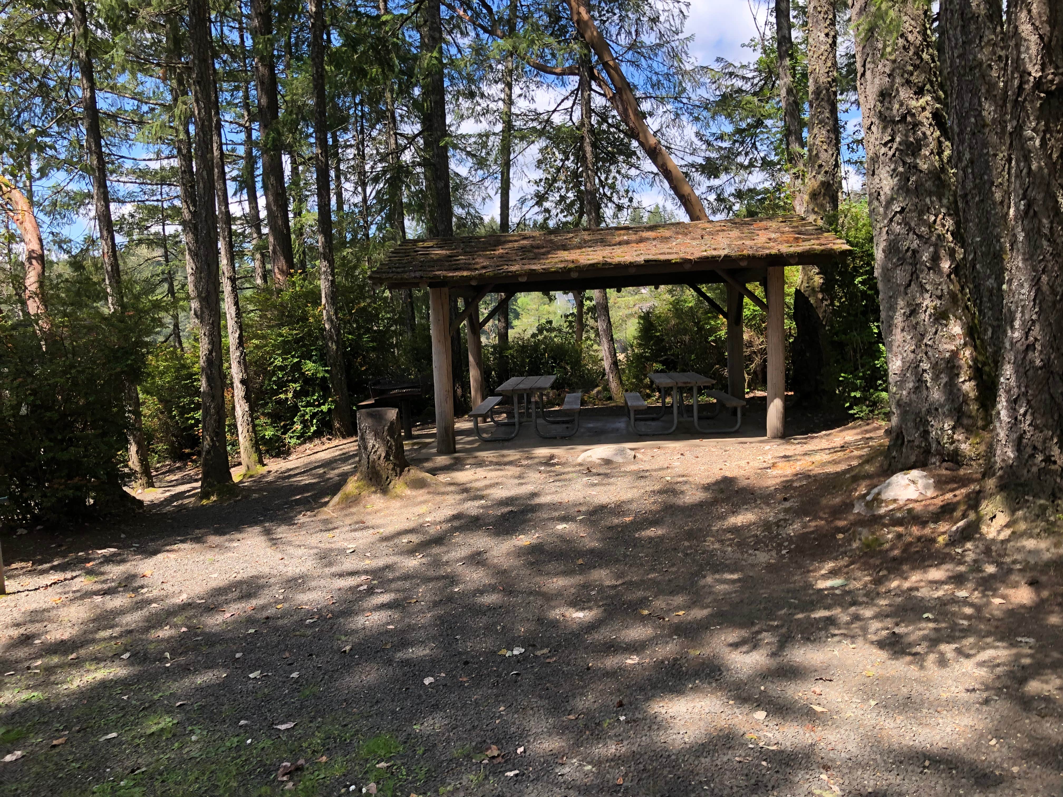 Camper submitted image from Jarrell Cove State Park Campground - 5