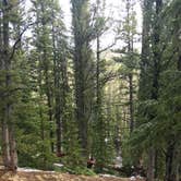 Review photo of Horseshoe Campground by Angela L., June 2, 2018