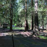 Review photo of Twanoh State Park Campground by Thomas B., May 11, 2021