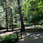 Review photo of Twanoh State Park Campground by Thomas B., May 11, 2021