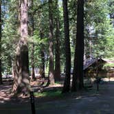 Review photo of Twanoh State Park Campground by Thomas B., May 11, 2021