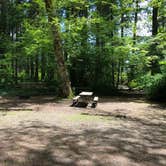 Review photo of Belfair State Park Campground by Thomas B., May 11, 2021