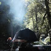 Review photo of Elk Prairie Campground — Prairie Creek Redwoods State Park by Charles , May 11, 2021