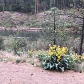 Review photo of Bowl and Pitcher Campground — Riverside State Park by Denise , May 11, 2021