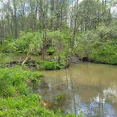 Review photo of Wolf Run State Park Campground by Amanda S., May 11, 2021