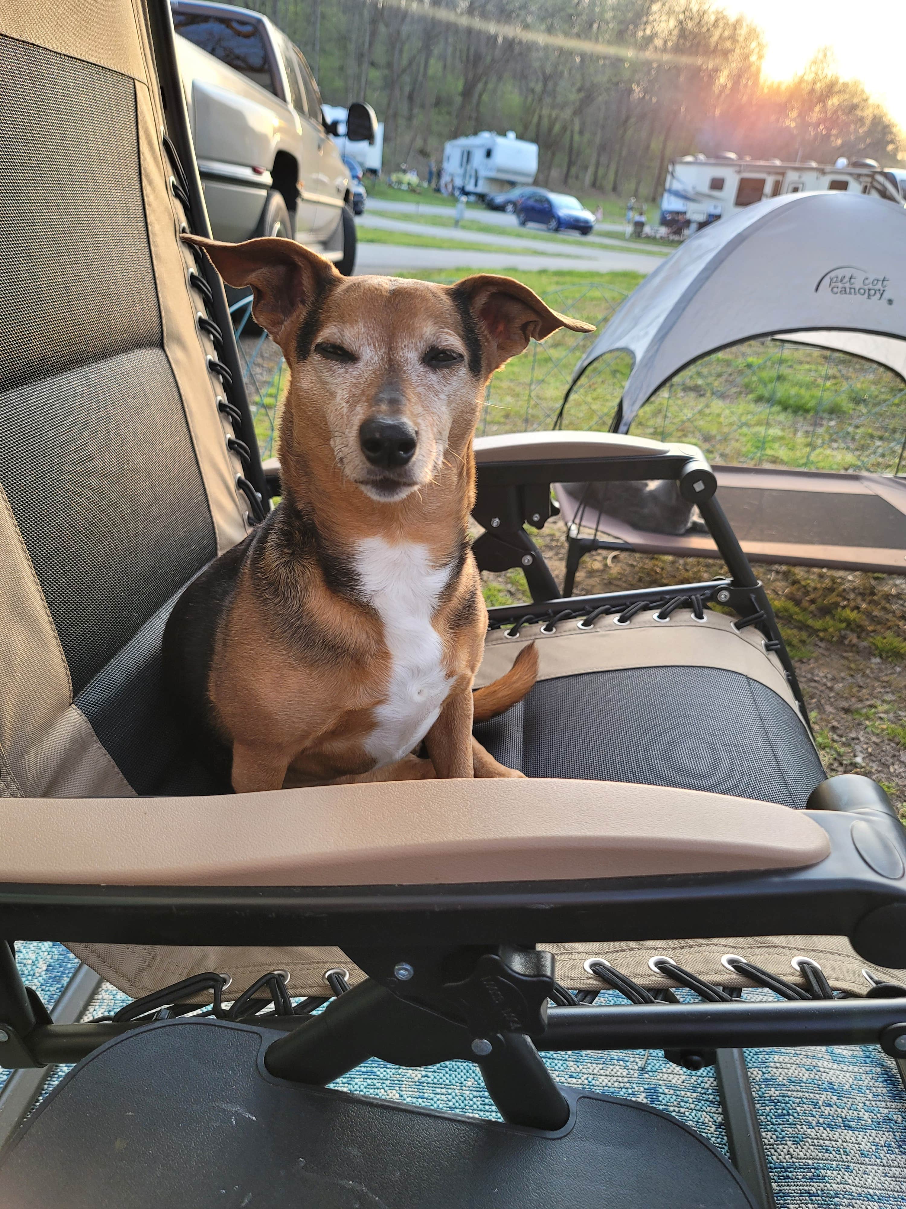 Amanda S.'s photo of camping with pets at Cummins Ferry RV Park, Campground on the Kentucky River near Shelbyville, KY