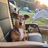 Review photo of Cummins Ferry RV Park, Campground on the Kentucky River by Amanda S., May 11, 2021