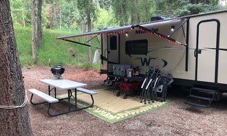 Camping near Mavreeso Campground: Priest Gulch Campground, San Juan National Forest, Colorado