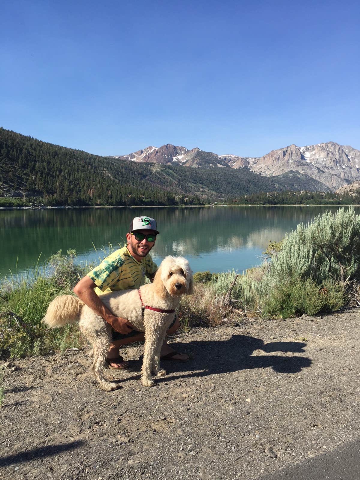 Keef W.'s photo of camping with pets at Inyo National Forest Oh Ridge Campground near Tahoe National Forest