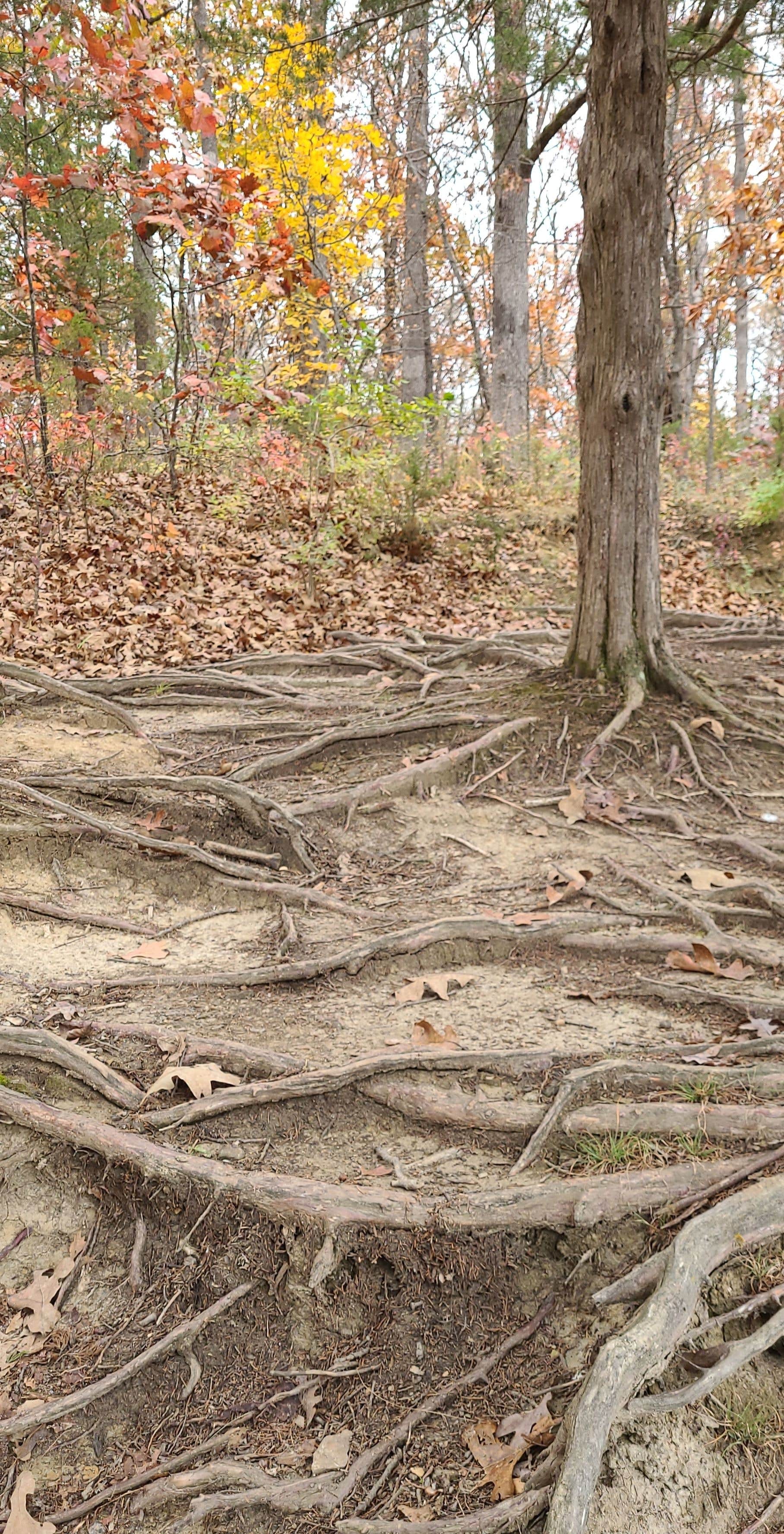 Knob Noster The Dyrt