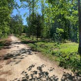 Review photo of Pocahontas State Park Campground by Allan , May 11, 2021