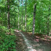 Review photo of Pocahontas State Park Campground by Allan , May 11, 2021