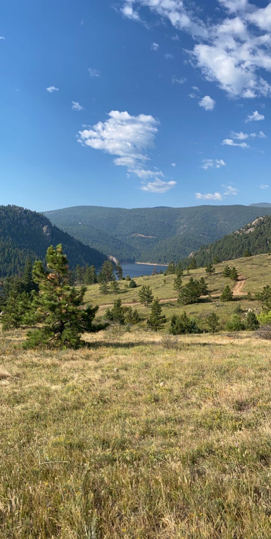 Winiger Ridge at Gross Reservoir The Dyrt