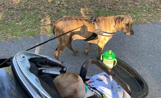 Rachael H.'s photo of camping with pets at COE Lake Texoma Burns Run West in Oklahoma
