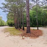 Review photo of Chalk Banks — Lumber River State Park by S.H. S., May 11, 2021