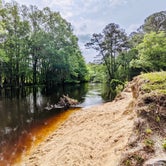 Review photo of Chalk Banks — Lumber River State Park by S.H. S., May 11, 2021