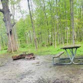 Review photo of Delaware State Park Campground by Ashley R., May 11, 2021