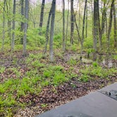 Review photo of Delaware State Park Campground by Ashley R., May 11, 2021