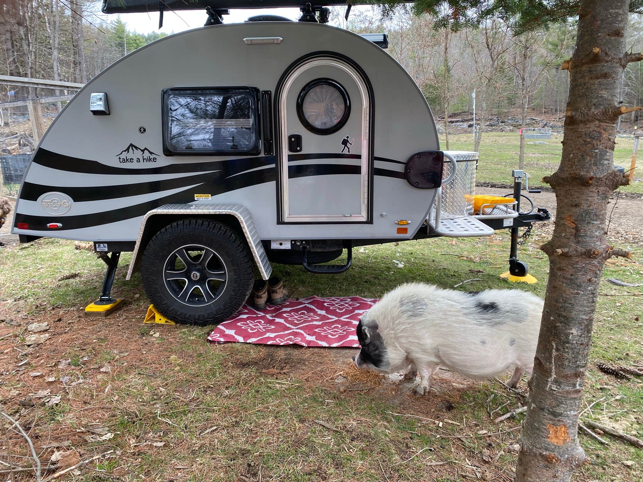Robin R.'s photo of rv camping at Willoughby Farm Animal Rescue near Sharon, VT