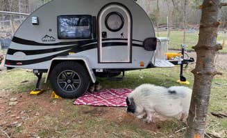 Robin R.'s photo of rv camping at Willoughby Farm Animal Rescue near Groton, VT