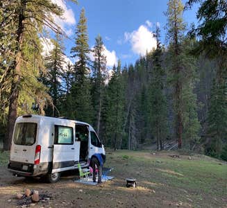 Camper-submitted photo from Dispersed Camping North Fork Teanaway Road