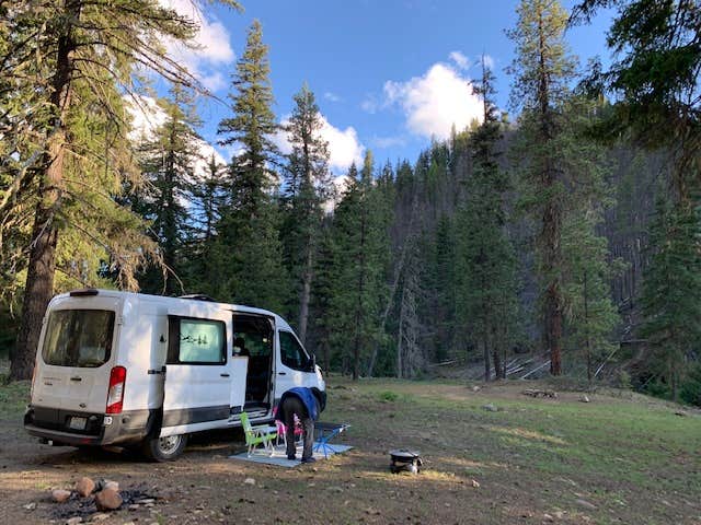 Camper submitted image from Dispersed Camping North Fork Teanaway Road - 1