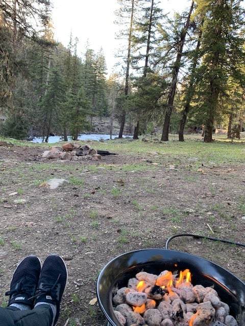 Camper submitted image from Dispersed Camping North Fork Teanaway Road - 3