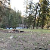 Review photo of Dispersed Camping North Fork Teanaway Road by Emma A., May 11, 2021