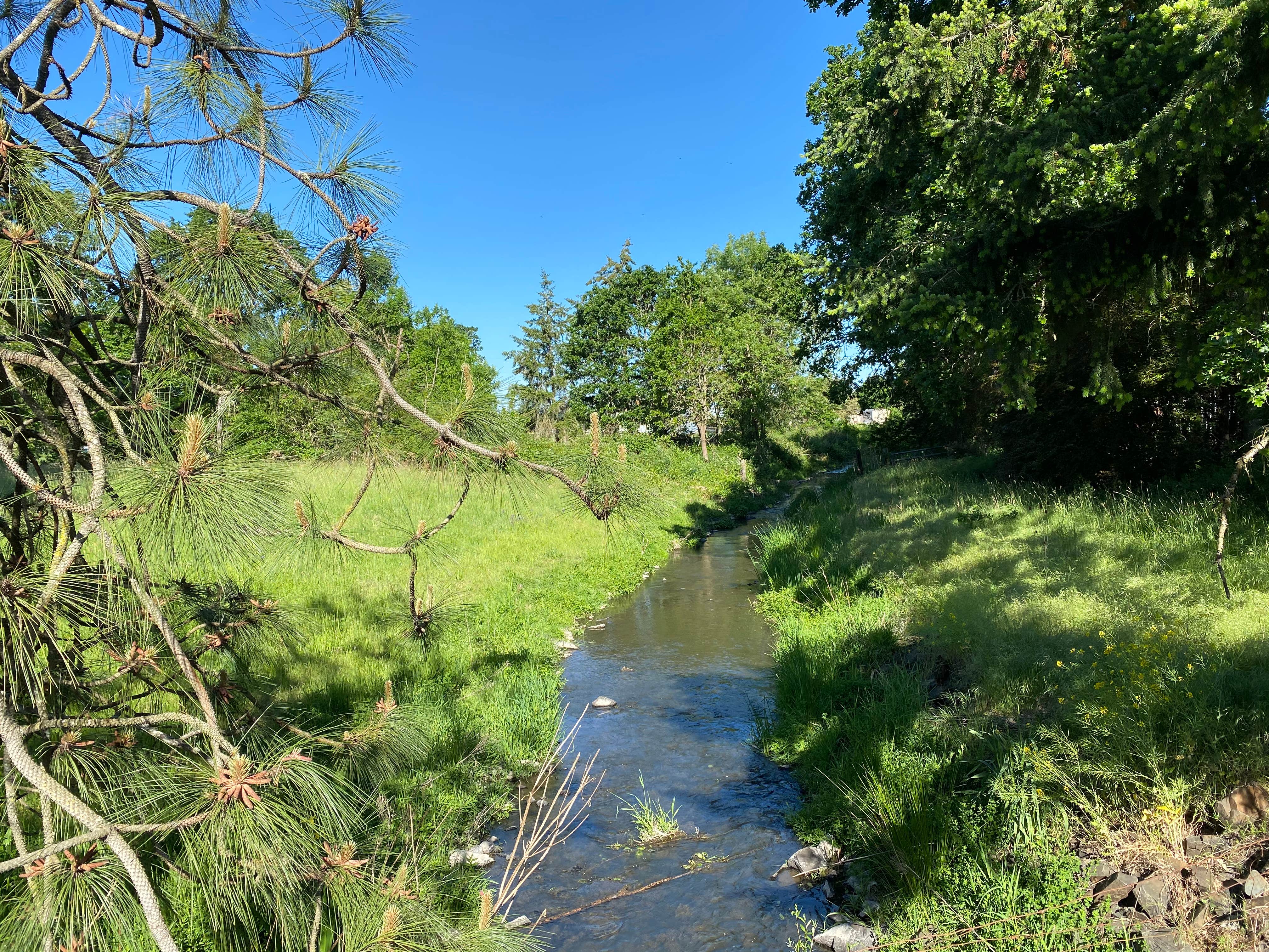 Camper-submitted photo at Knox Butte RV Park near Adair Village, OR