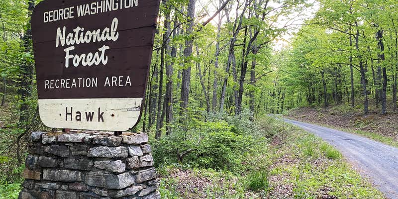 Camper submitted image from Hawk Recreation Area Campground