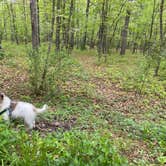 Review photo of Hawk Recreation Area Campground by Jakob D., May 11, 2021