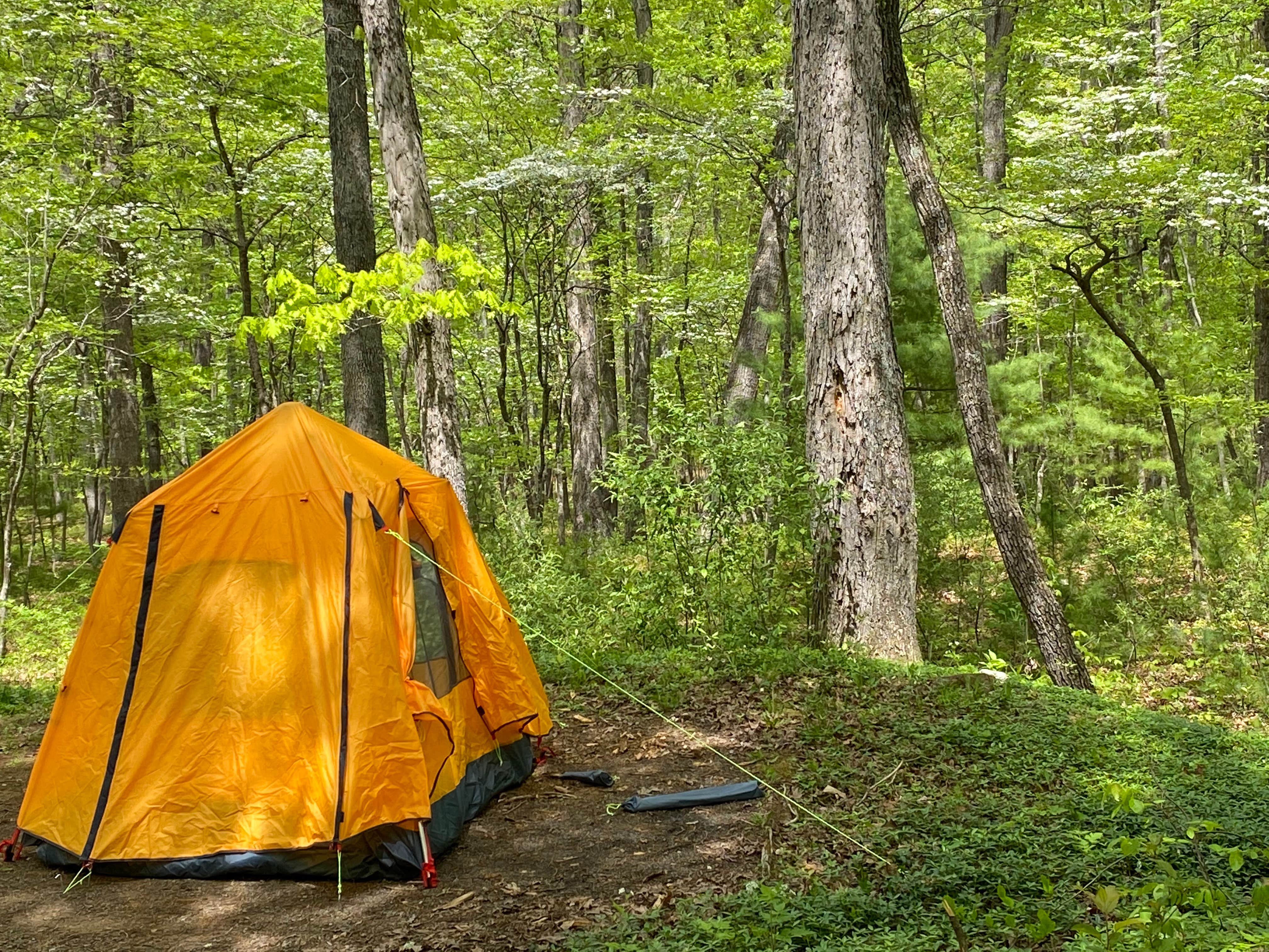 Jakob D.'s photo at Hawk Recreation Area Campground near Winchester, VA