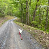 Review photo of Hawk Recreation Area Campground by Jakob D., May 11, 2021