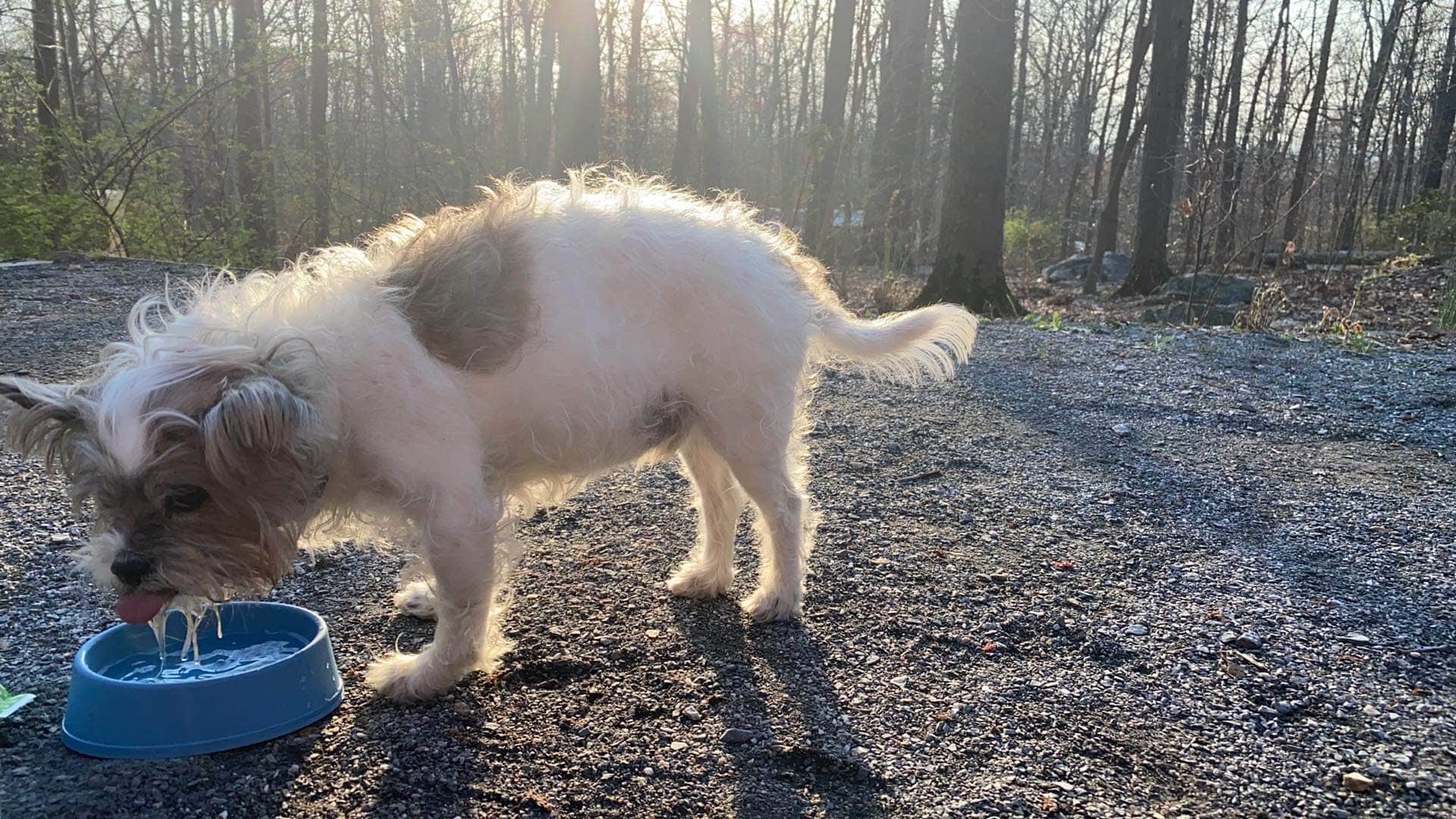 Camper-submitted photo at Cunningham Falls State Park Manor Area near Frederick, MD