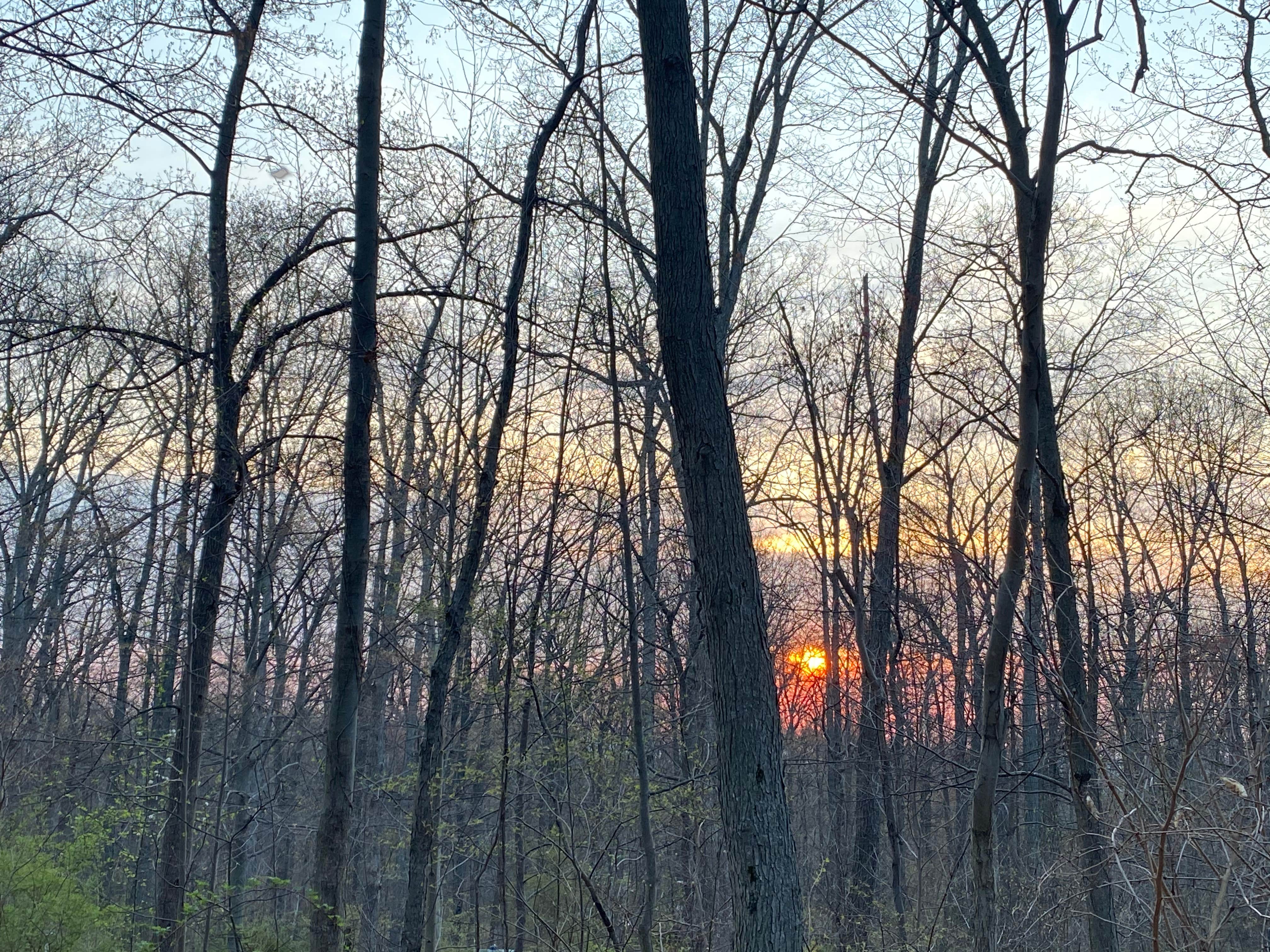 Camper-submitted photo at Cunningham Falls State Park Manor Area near Frederick, MD