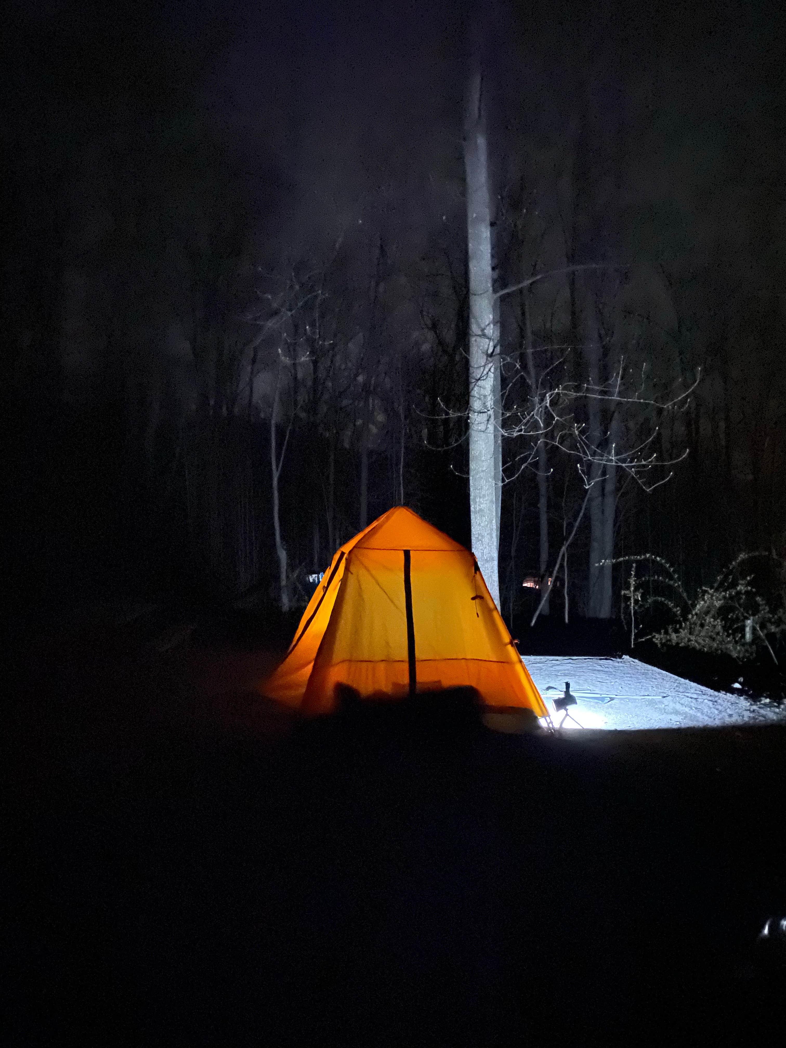 Camper submitted image from Cunningham Falls State Park Manor Area - 4