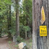 Review photo of Gualala River Redwood Park by Tanya B., May 11, 2021