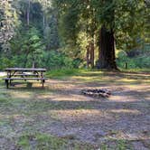 Review photo of Gualala River Redwood Park by Tanya B., May 11, 2021