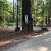 Review photo of Gualala River Redwood Park by Tanya B., May 11, 2021