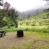 Review photo of Hidden Springs Campground — Humboldt Redwoods State Park by Tanya B., May 11, 2021