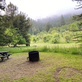 Review photo of Albee Creek Camp — Humboldt Redwoods State Park by Tanya B., May 11, 2021