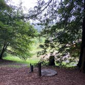 Review photo of Hidden Springs Campground — Humboldt Redwoods State Park by Tanya B., May 11, 2021