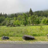 Review photo of Hidden Springs Campground — Humboldt Redwoods State Park by Tanya B., May 11, 2021