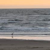 Review photo of Oceanside Beachfront RV Resort by Jim M., May 11, 2021