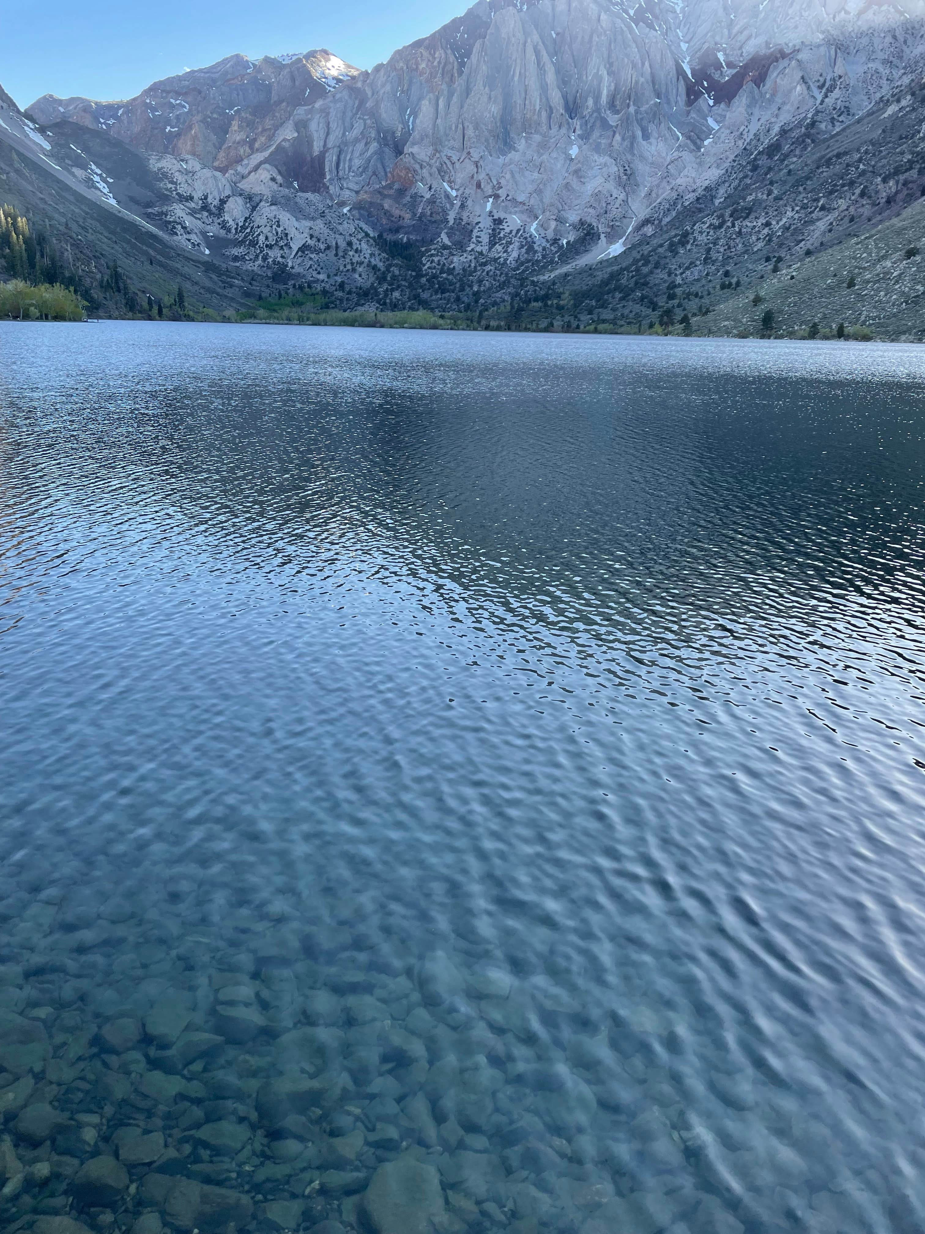 View All