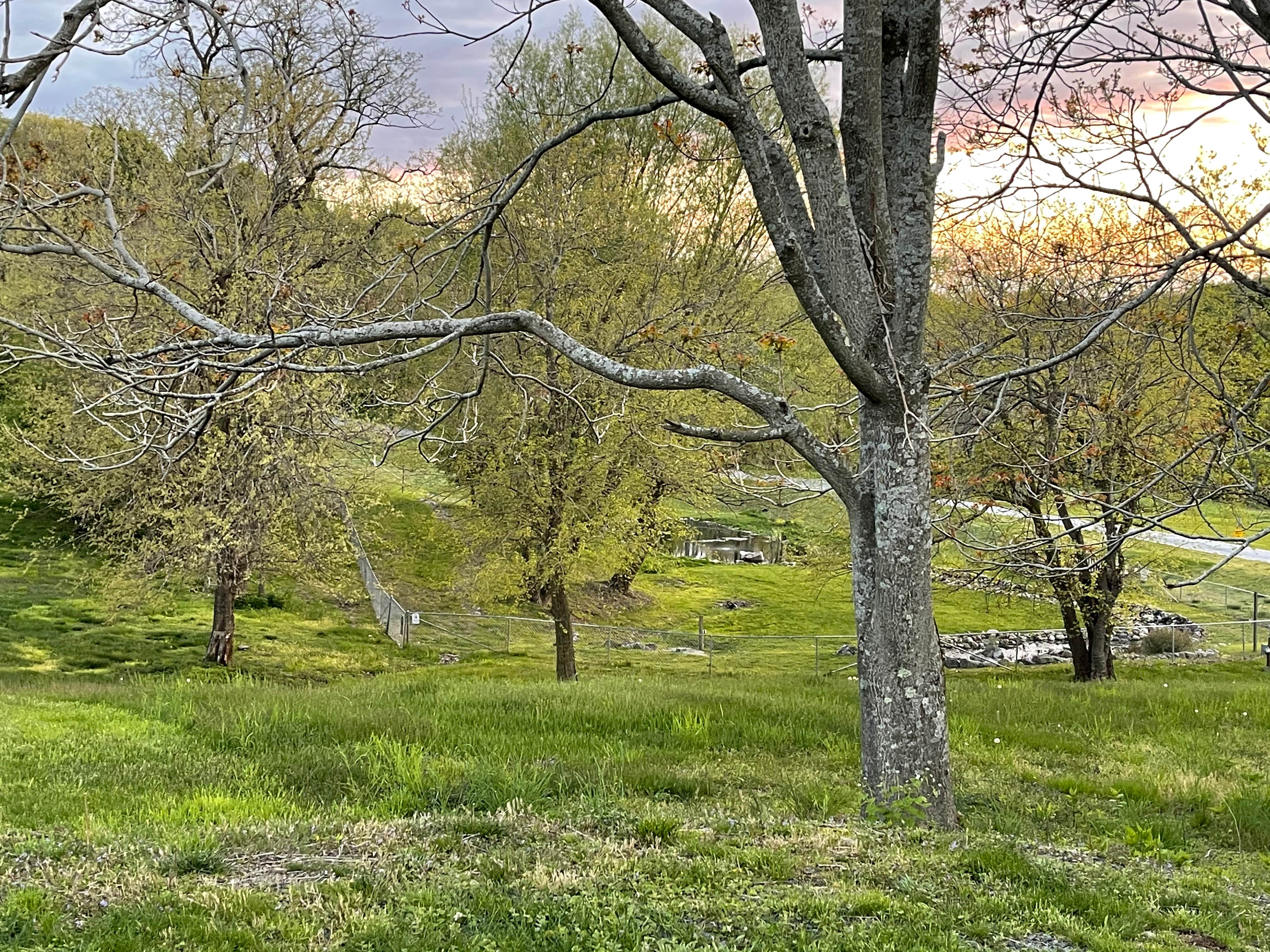Camper submitted image from Black Bear RV Park - 3
