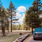 Review photo of Pinegrove Campground by Paul T., May 11, 2021