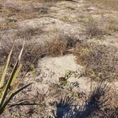 Review photo of Atlantic Beach Campground — Fort Clinch State Park by Lizzy , May 11, 2021