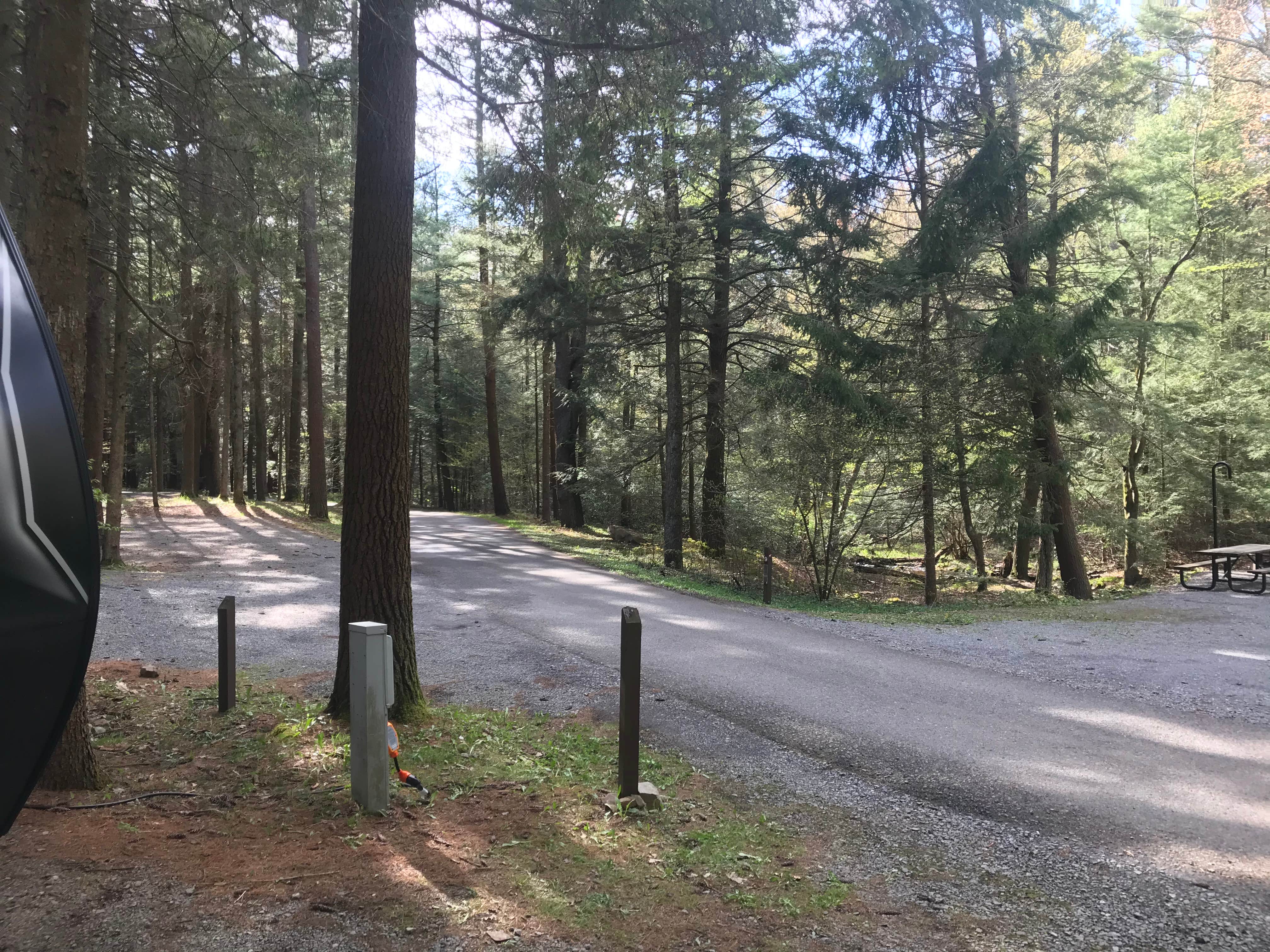 Raymond B Winter The Dyrt